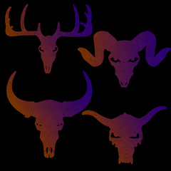 set of animal skull silhouette in color lines on white background, vector illustration, eps 10
