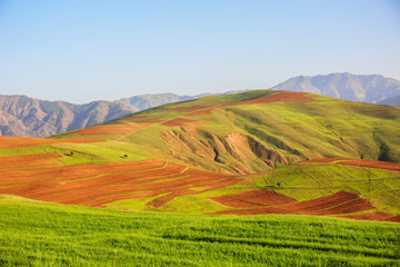 Fototapeta na wymiar Nature landscape with hills and mountains in Alamut valley,Iran