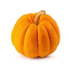 Orange miniature pumpkin isolated on white background