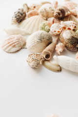 Obraz na płótnie Canvas Pile of beautiful sea shells on white background