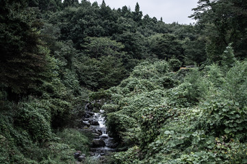 小川