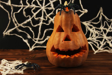 halloween decorations. Pumpkin, Spider, Web