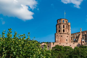 Fototapeta na wymiar Heidelberg Castle with green trees. Heidelberg, Germany
