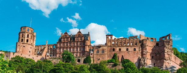 Heidelberg Castle with green trees. Heidelberg, Germany - obrazy, fototapety, plakaty
