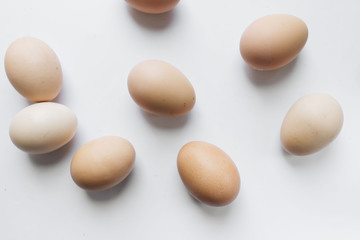 Chicken eggs in cardboard package on white background