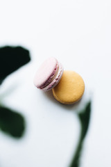 Composition of delicious macaroons on white background