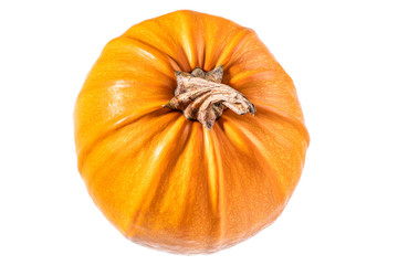 Ripe pumpkin closeup, isolated on white background
