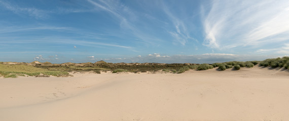 Panoramic view of a sand drift in the dunes.