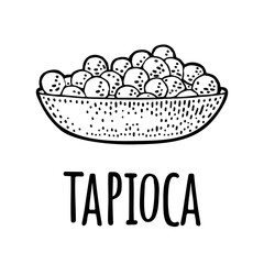 Plate with tapioca ball. Vector vintage engraving
