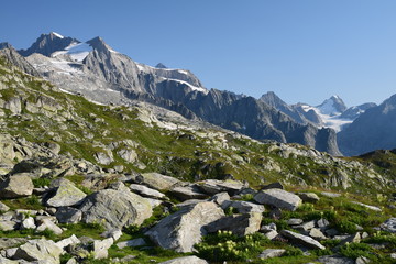 Fototapeta na wymiar Le Grosses (alt 3906 m) et le Kleines (alt 3707 m) Wannenhorn, vus des pentes de l'Eggihorn