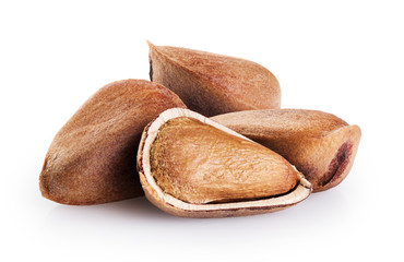 Cedar pine nuts  isolated on white background.