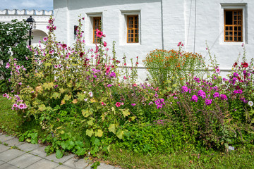 Flower garden near the Singing chamber in the Novodevichy virgin-Smolensk monastery