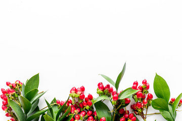 Green leaves and red berries frame on white background top view copyspace