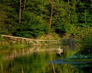 kayaker fishing on lake