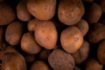 Closeup Abstract Textured Background of a fresh potato