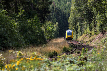 a passenger train in a forest