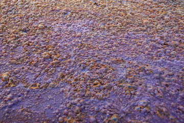 Bubbles, bubbles, methane, carbon dioxide which is caused by sewage