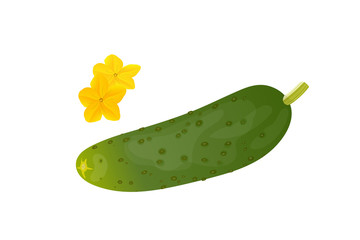 Cucumbers and yellow flower.