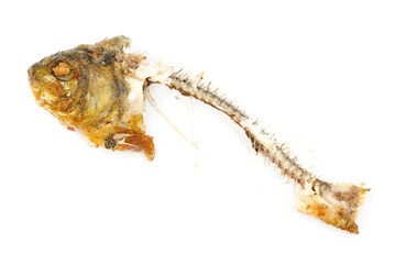 Bones and fish head isolated on white background. Remains of fried fish. food scraps