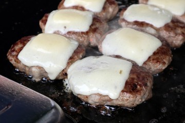 チーズハンバーグ