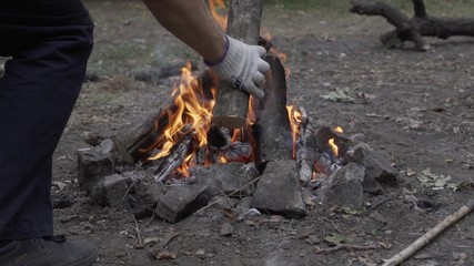 Collect firewood for a fire