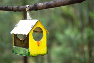 Wooden yellow and green birdhouse for birds  hanging from the branch of a tree in the forest hand made by children. Home for birds. Animal care concept.
