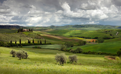 View over fields, vineyards, olive groves and farmhouses towards Pienza in Val D'Orcia San Quirico...