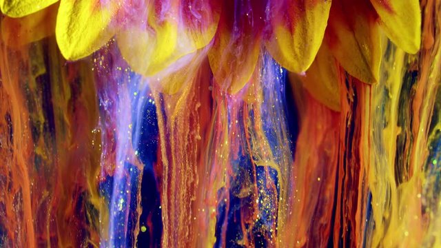 Close-up gaillardia aristata. Acrylic colors and ink in water.