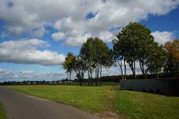 Obraz premium landscape with road and trees