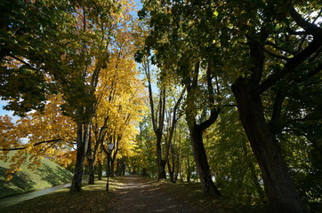 Fototapeta premium Walking around in Nesvizh Park