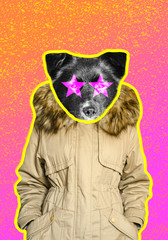 Funny black dog in a parka jacket on gradient background contemporary art collage