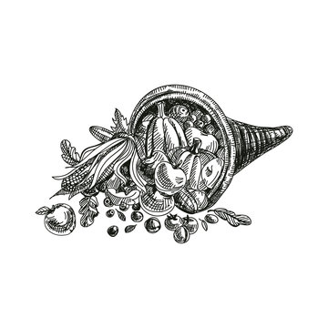 black and white cornucopia harvest bounty clip art preview
