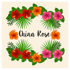 China rose , shoe flower on varieties of tropical leaves