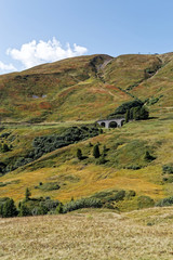 le train de Kleine Scheidegg dans les Alpes Suisses