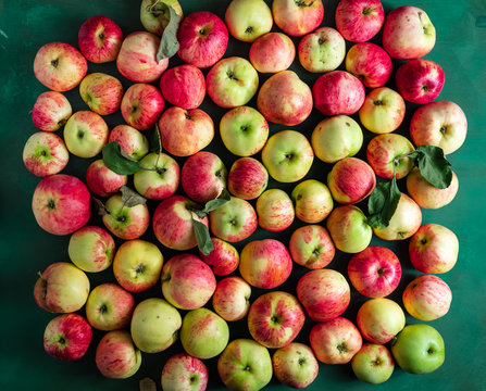 Large group of ripe apples background on green colred surface