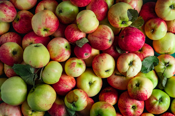 Large heap of ripe apples background