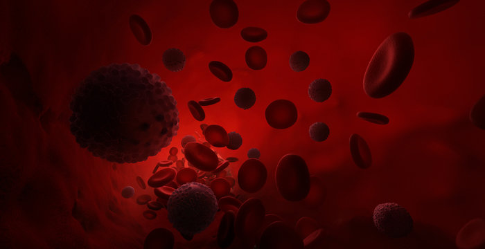 Red and White Blood Cells