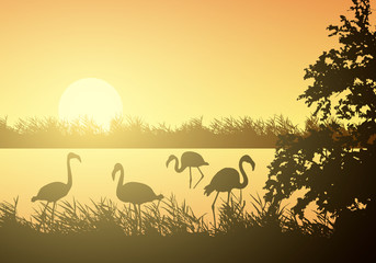 Realistic illustration of wetland landscape with river or lake, water surface and birds. Flamingo and stork flying under orange morning sky with rising sun, vector