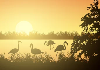 Foto op Plexiglas Realistic illustration of wetland landscape with river or lake, water surface and birds. Flamingo and stork flying under orange morning sky with rising sun, vector © Forgem