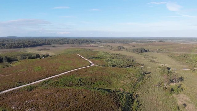 An aerial backward footage of the New Forest with trees, heartland and trail path under a majestic blue sky and some white clouds