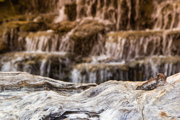 Old timber and waterfall background scene