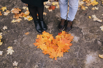 heart from leaves background autumn