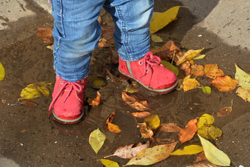 Little girl plays in a puddle with autumn leaves
