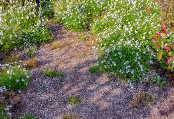 small pebble path in a beautiful flower garden