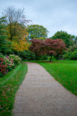 Fototapeta na wymiar Vertical shot of Stourhead gardens in Somerset in autumn time