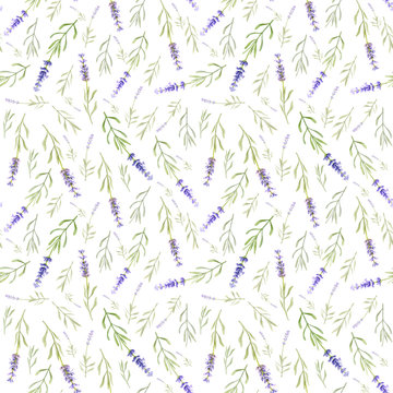 Seamless texture with purple lavender flowers.Watercolor vector