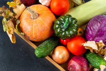 lots of autumn fresh vegetables, pumpkins, tomatoes, cabbage, onions,  zucchini,  cucumber, garlic, , dry fallen leaves, top view