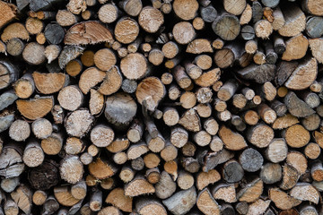 Cross section of many cut branches