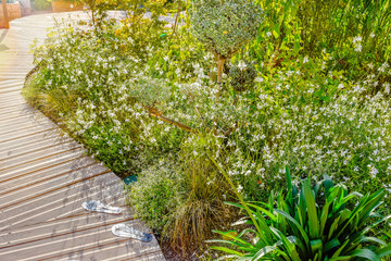Fototapeta na wymiar beautiful terrace and wooden driveway in the blooming garden