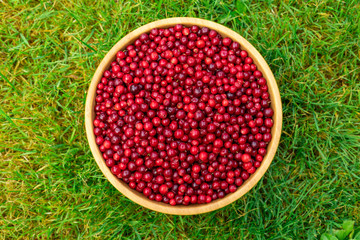 Red lingonberries in a round wooden plate on a background of green grass